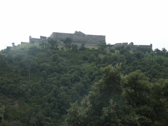 2007-07 Le Perthus 003.jpg - DCF 1.0
